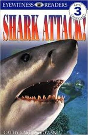 Shark attack!