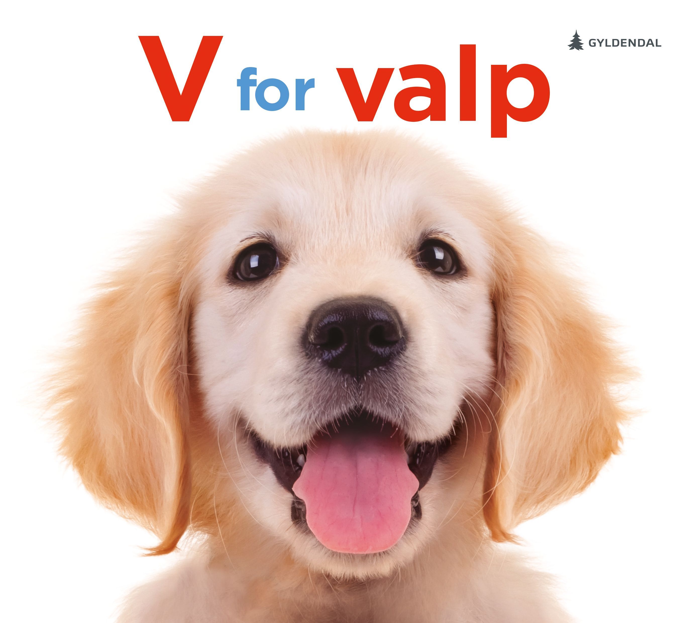 P for puppy