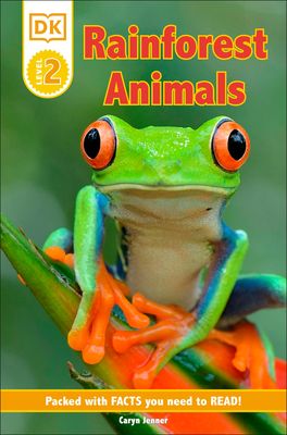 Rainforest animals
