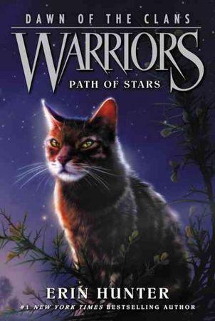 Path of stars