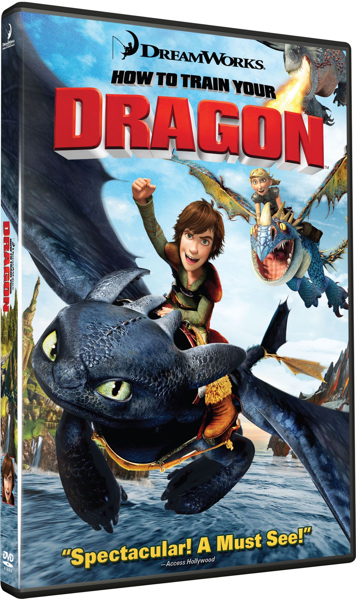 How to train your dragon