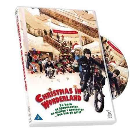 Christmas in wonderland