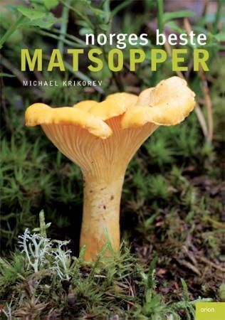 Bästa matsvamparna