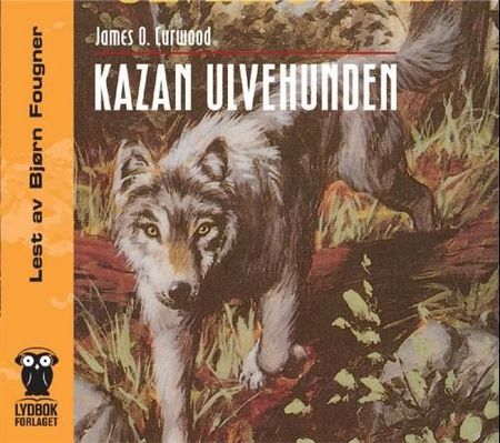 Kazan the wolf-dog