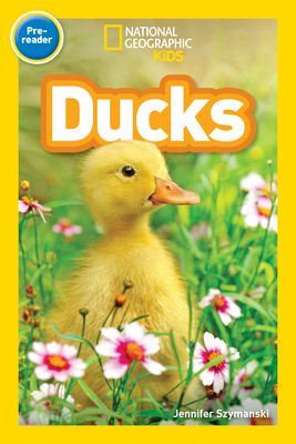 Ducks