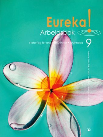 Eureka! 9. Arbeidshefte
