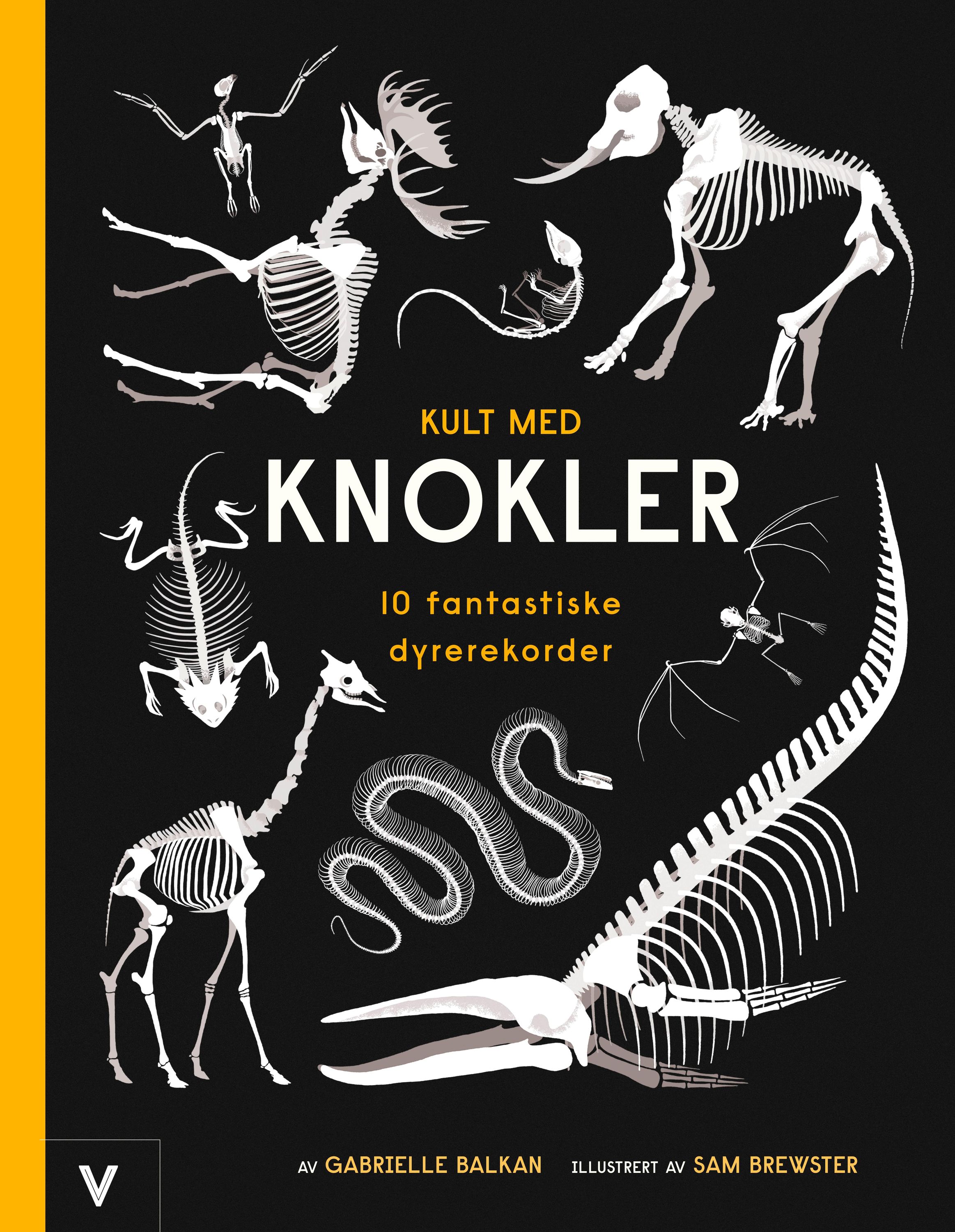 Book of bones