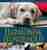 Harmonisk hundehold
