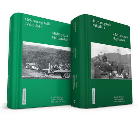 Heimar og folk i Vikedal 1. Vikedalsosen, Hogganvik