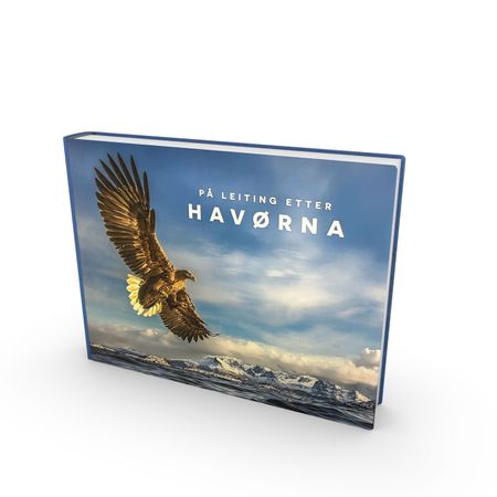 På leiting etter Havørna