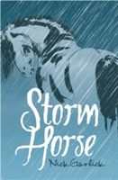 Storm horse