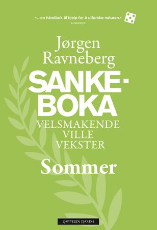 Sankeboka. Sommer