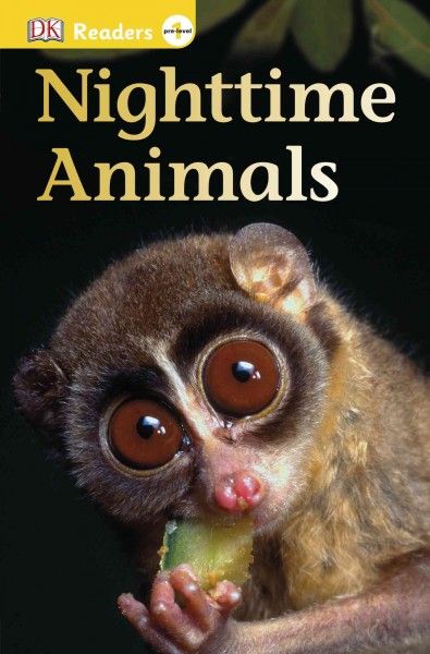 Nighttime animals