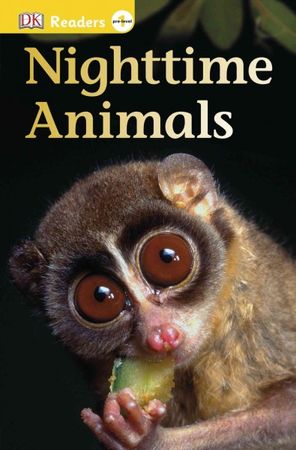 Nighttime animals