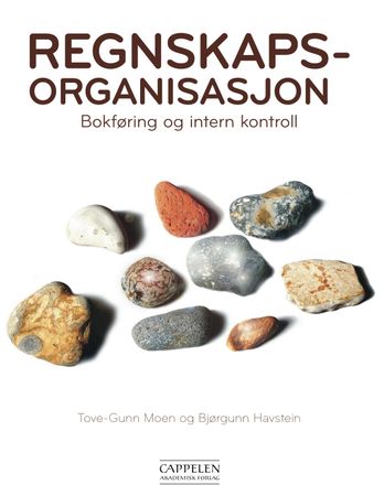 Regnskapsorganisasjon