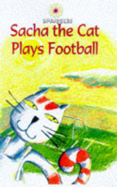 Football socks