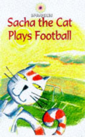 Football socks