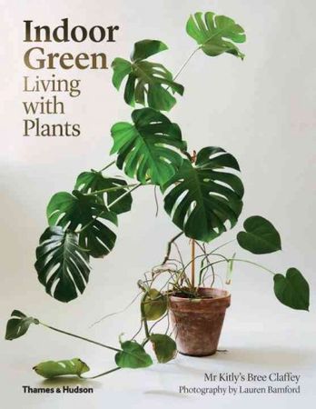 Indoor green