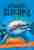Amazing sharks