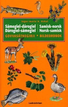 Sámegiel-dárogiel, dárogiel-sámegiel govvasátnegirji