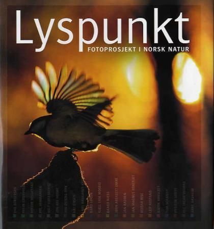 Lyspunkt