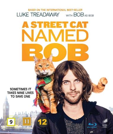 A street cat named Bob