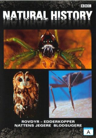 Predators. Del 4