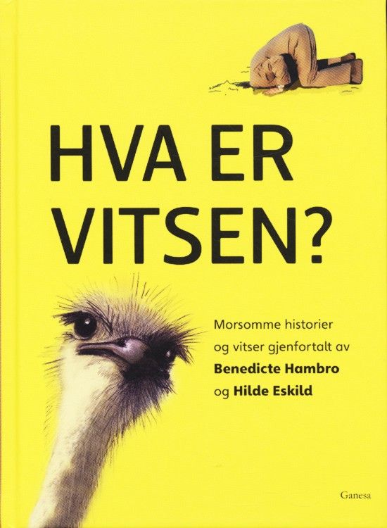 Hva er vitsen?