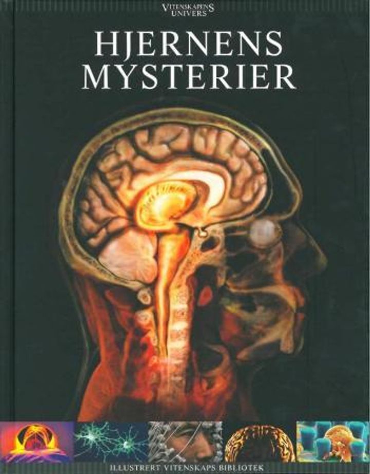 Hjernens mysterier