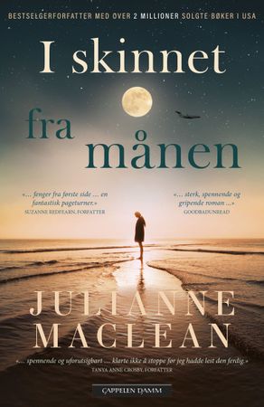 Beyond the moonlit sea