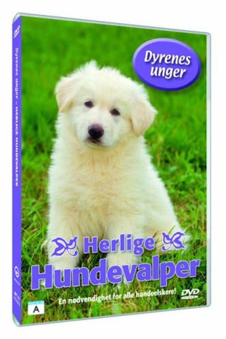 Härliga hundvalpar