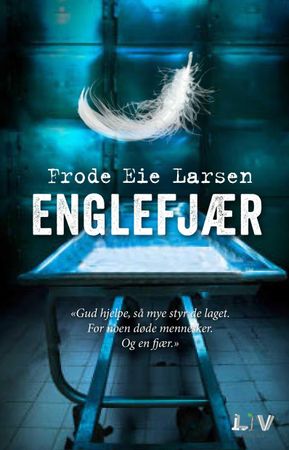 Englefjær