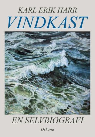Vindkast