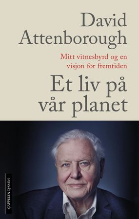 A life on our planet