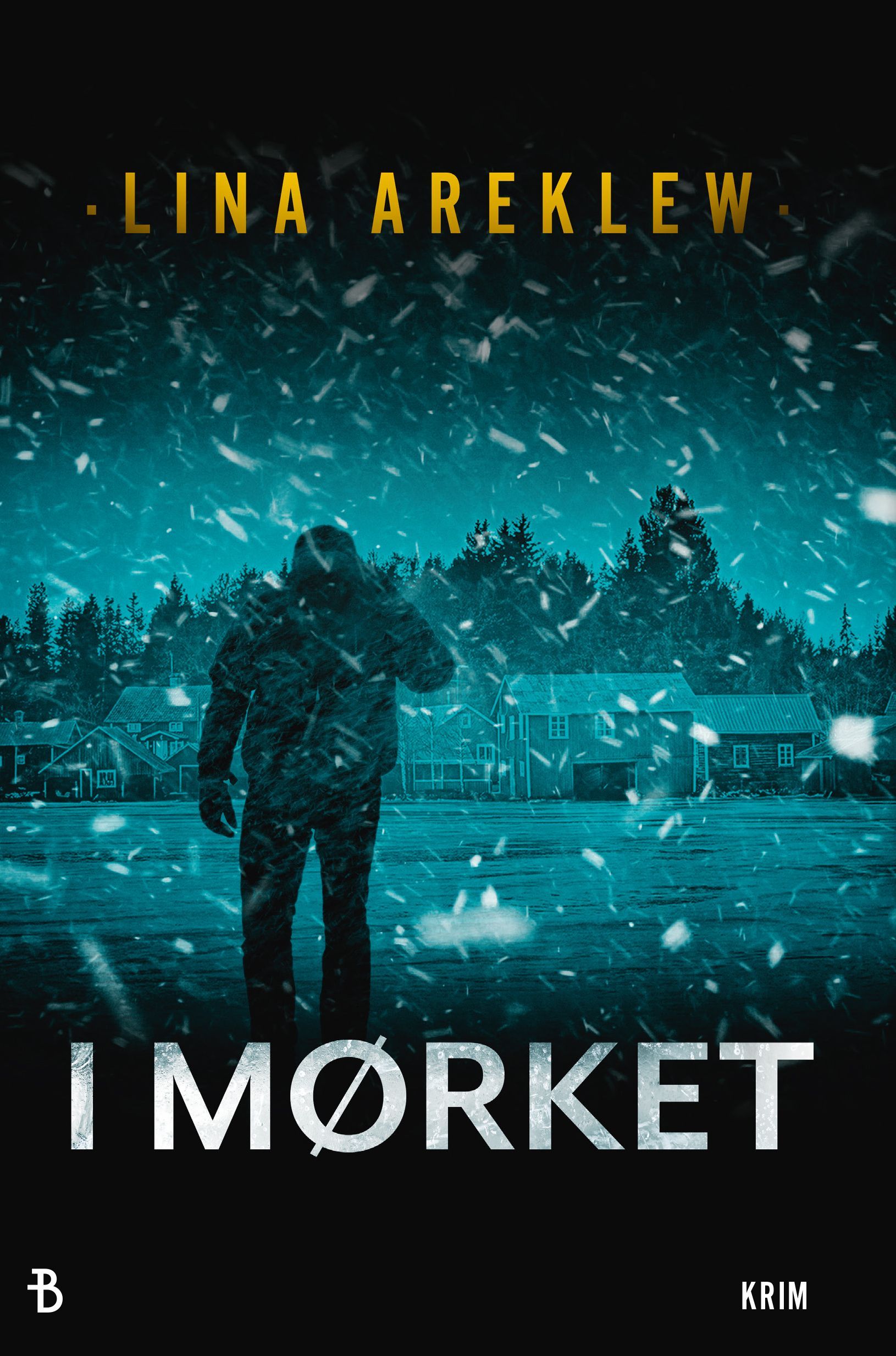 I mörkret