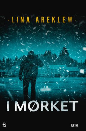 I mörkret