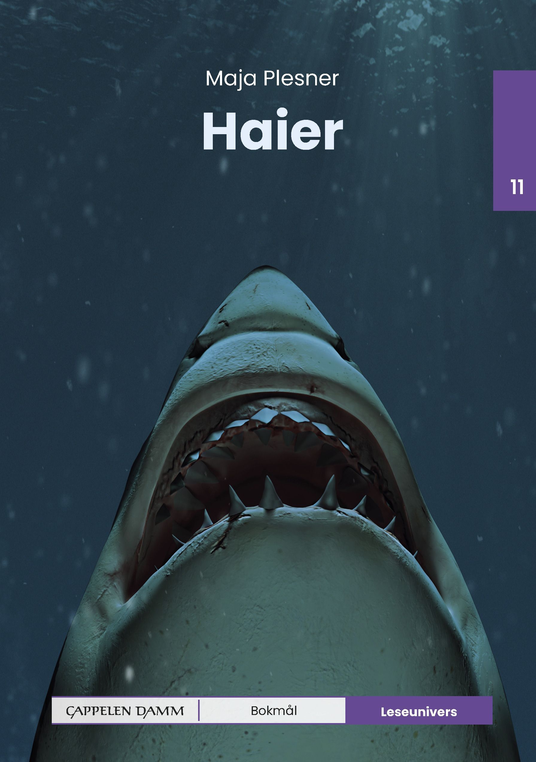 Hajer
