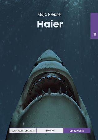 Hajer