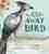 The go-away bird