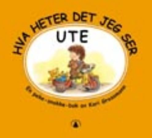 Hva heter det jeg ser ute