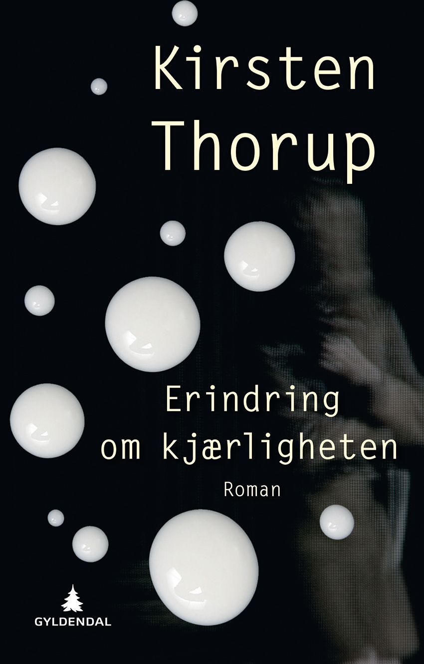 Erindring om kærligheden