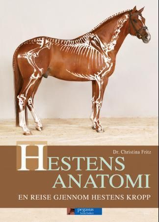 Die Anatomie des Pferdes