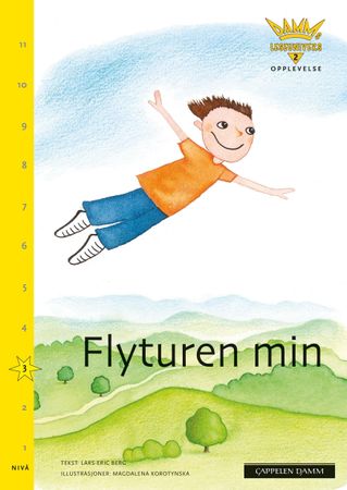 Min flygtur