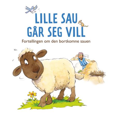 Little sheep gets lost