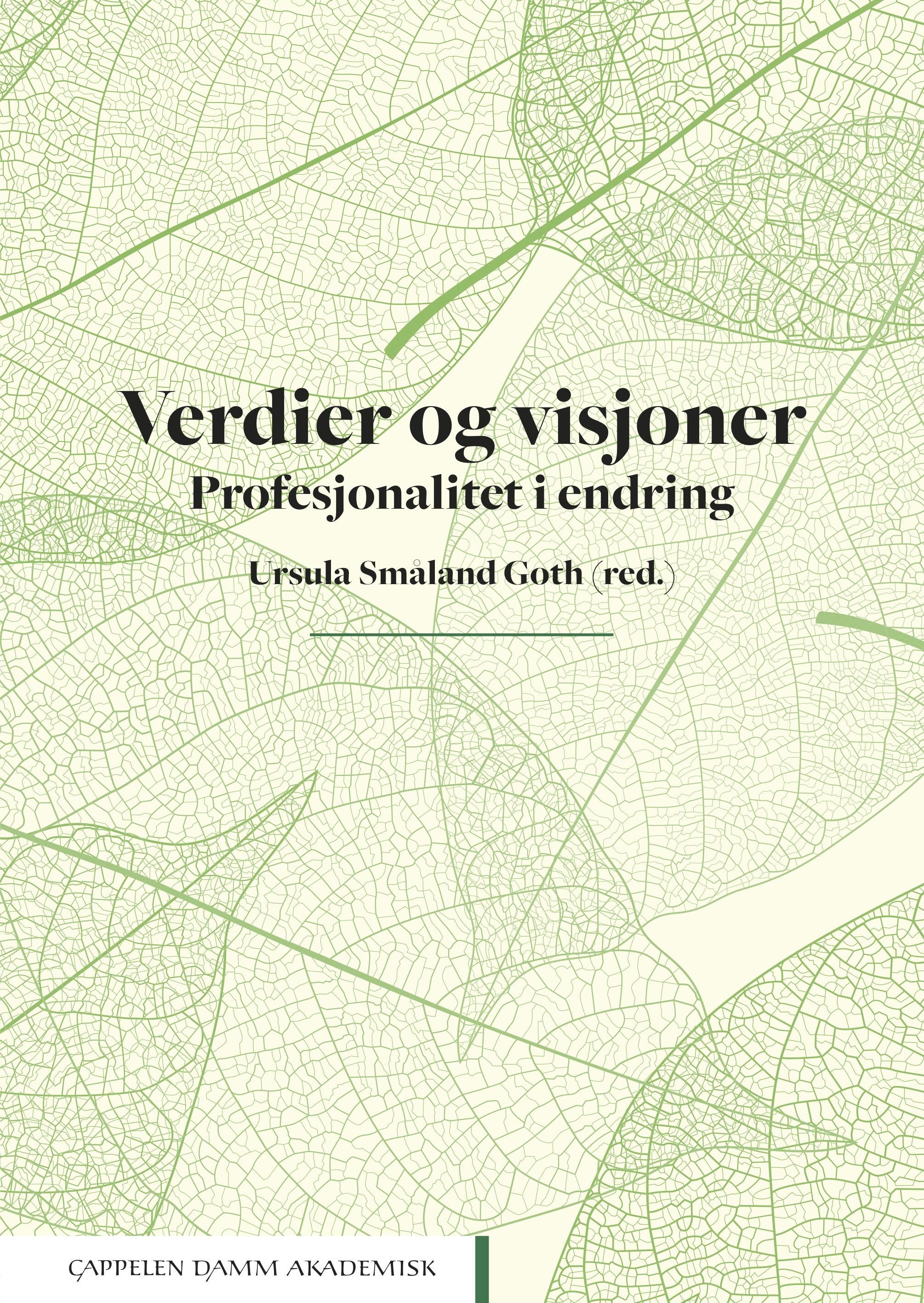 Verdier og visjoner