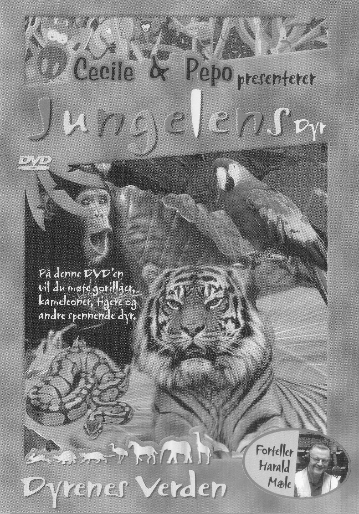 Animals in the jungel