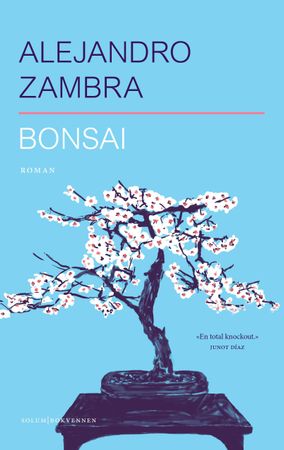 Bonsái