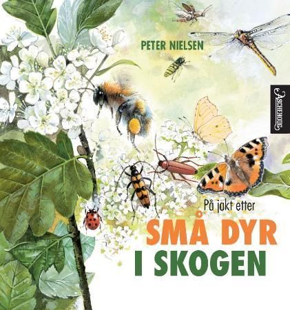 På jagt efter små dyr i skoven