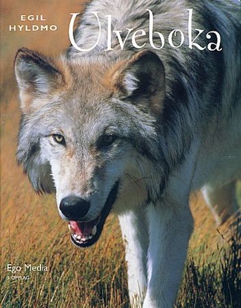 Ulveboka