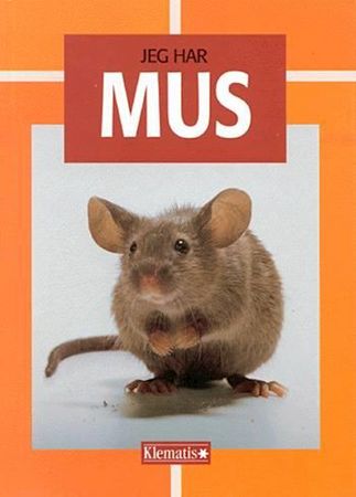 Mäuse, Ratten und Rennmäuse